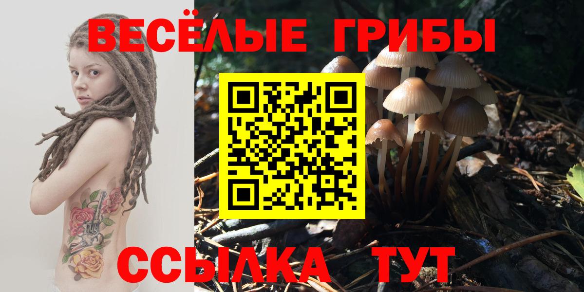 Пятигорск  Псилоцибиновые грибы GOLDEN TEACHER  Галлюциногенные грибы прущие грибы  Вход с VPN 